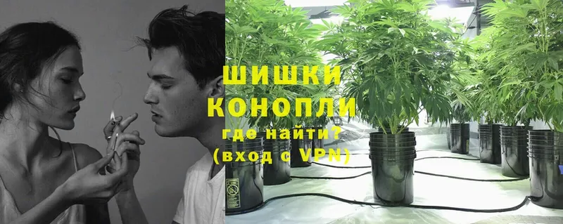 Конопля SATIVA & INDICA  цены наркотик  МЕГА маркетплейс  Балашов 